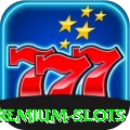 kk9 Premium Slots